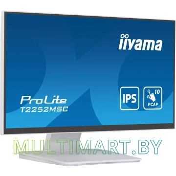 Монитор Iiyama ProLite T2252MSC-W2 картинка 3